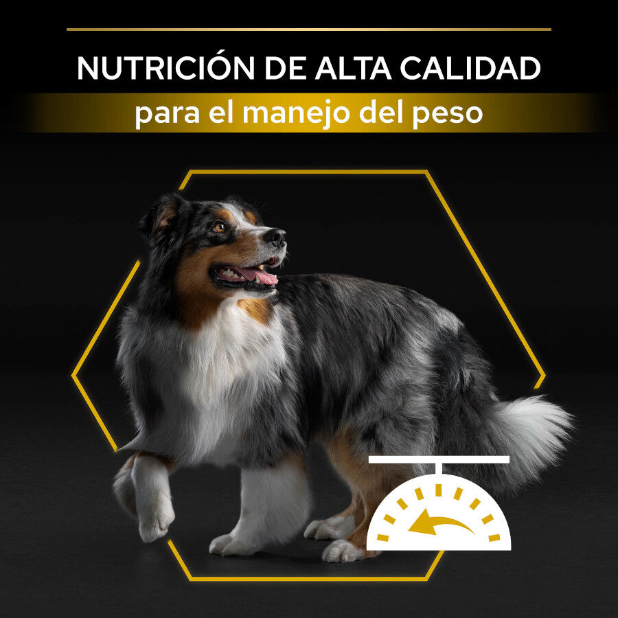 14 kg Pro Plan Adult All Sizes Light/Sterilised Pescado Blanco pienso para perros, , large Imagen numero 5